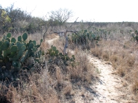 Hiking through the desert at Amistad